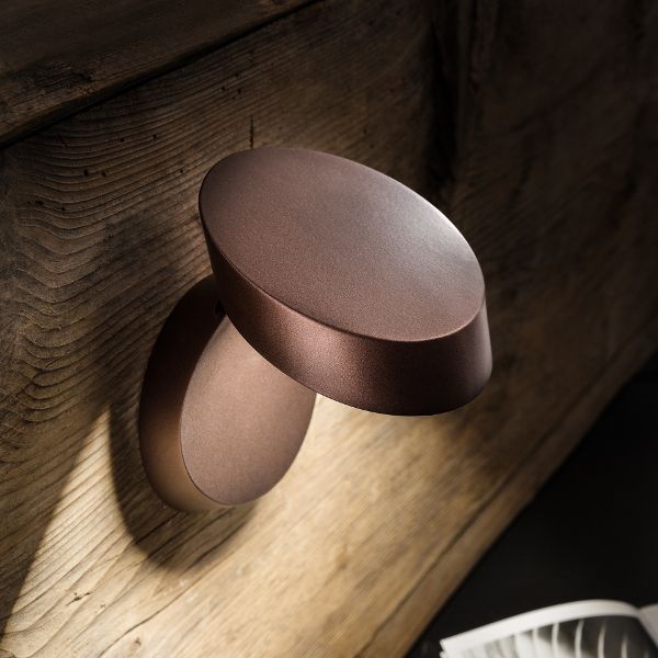 Pin-Up Wall Sconce / Ceiling Light in coppery bronze