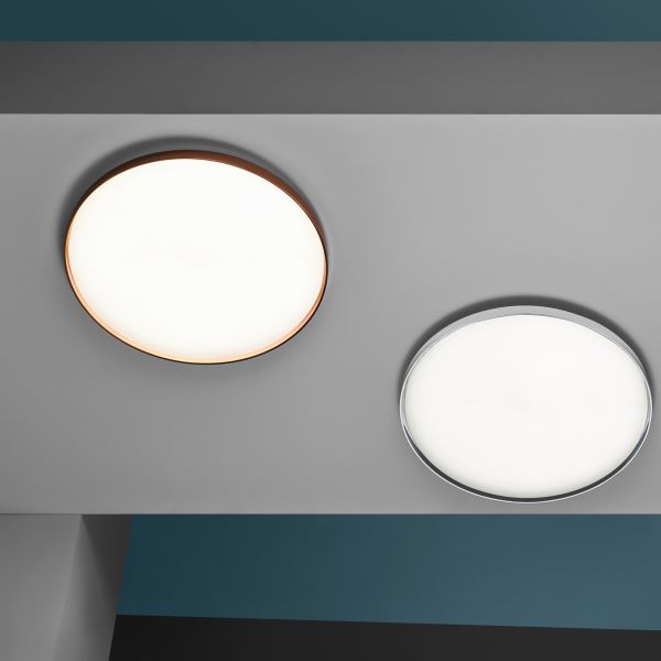 Clara Wall/Ceiling Light