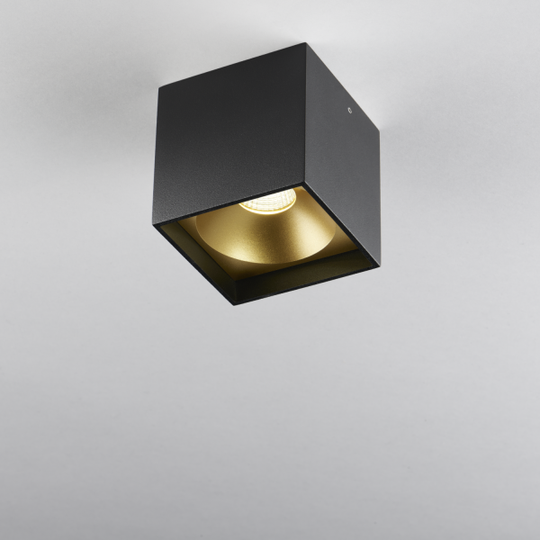 Solo Square surface mounted downlight, black/ gold